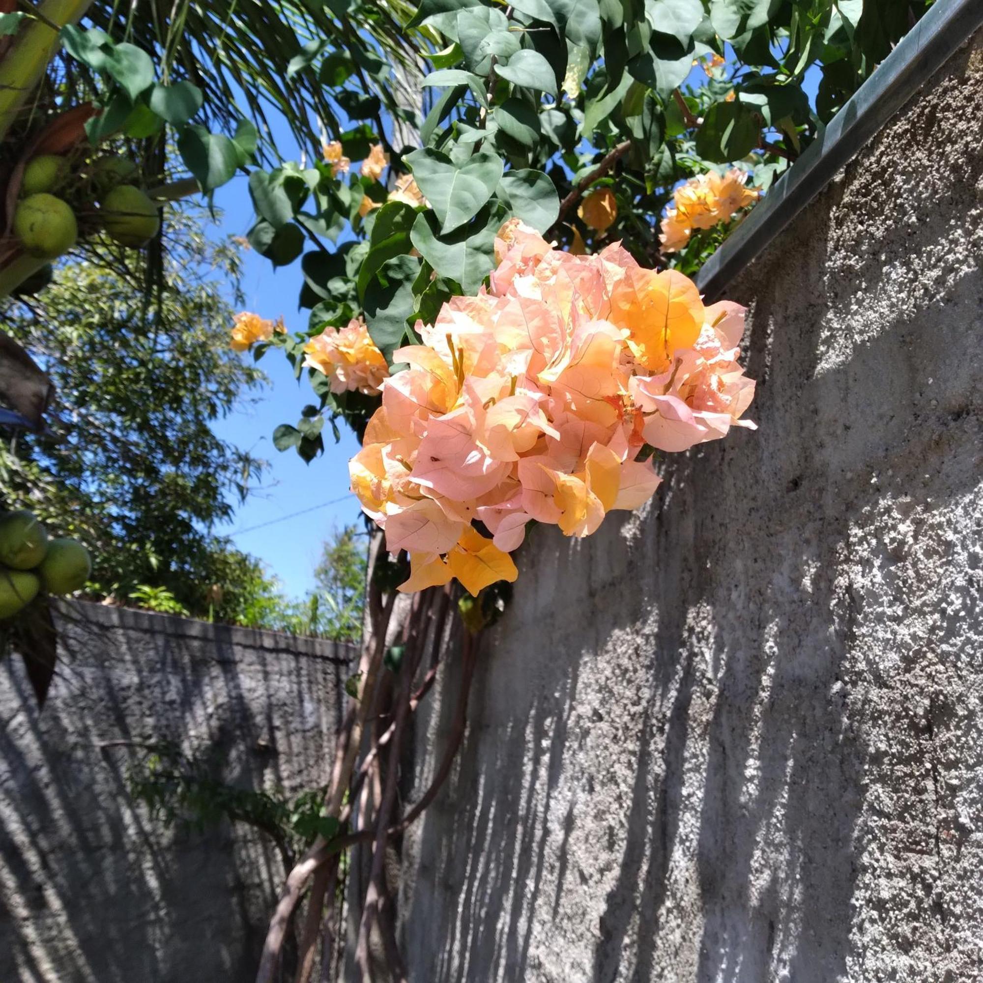 Casa China & Silva, Otima Casa Para Praia Ou Descanso, Proximo As Dunas Da Sabiaguaba E Shoppings Em Eusebio E Fortaleza Ce Zewnętrze zdjęcie